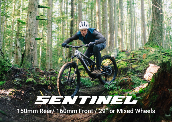 Transition Sentinel 2026 Alloy Eagle 70 — Trail MTB 29er