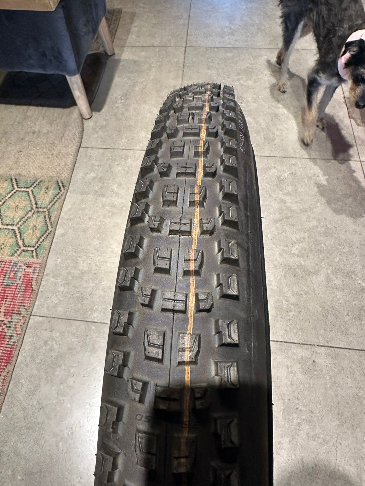 Neumatico Schwalbe Albert Radial, Trail Pro, Ultra Soft 29x2.5 (Copia)