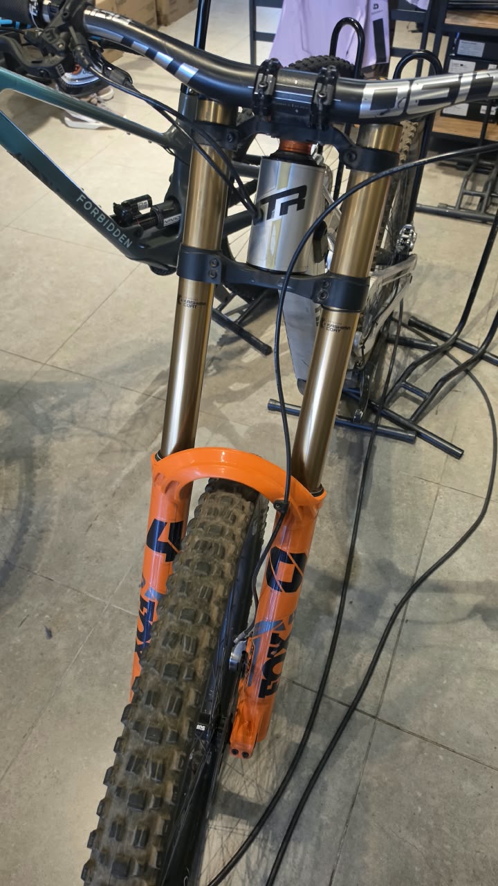 Transition TR11 (TALLA S)