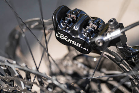 Nuevo Magura Louise 2026