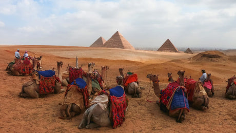 Pack de 2 Baterías Recargables Enduro para HERO13 Black