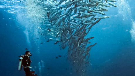 Carcasa Protectora GoPro