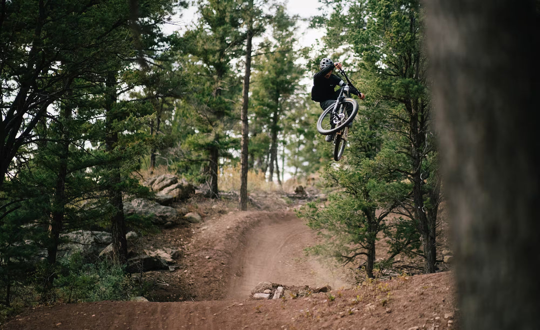 Bicicleta Transition Sentinel Alloy Eagle 90