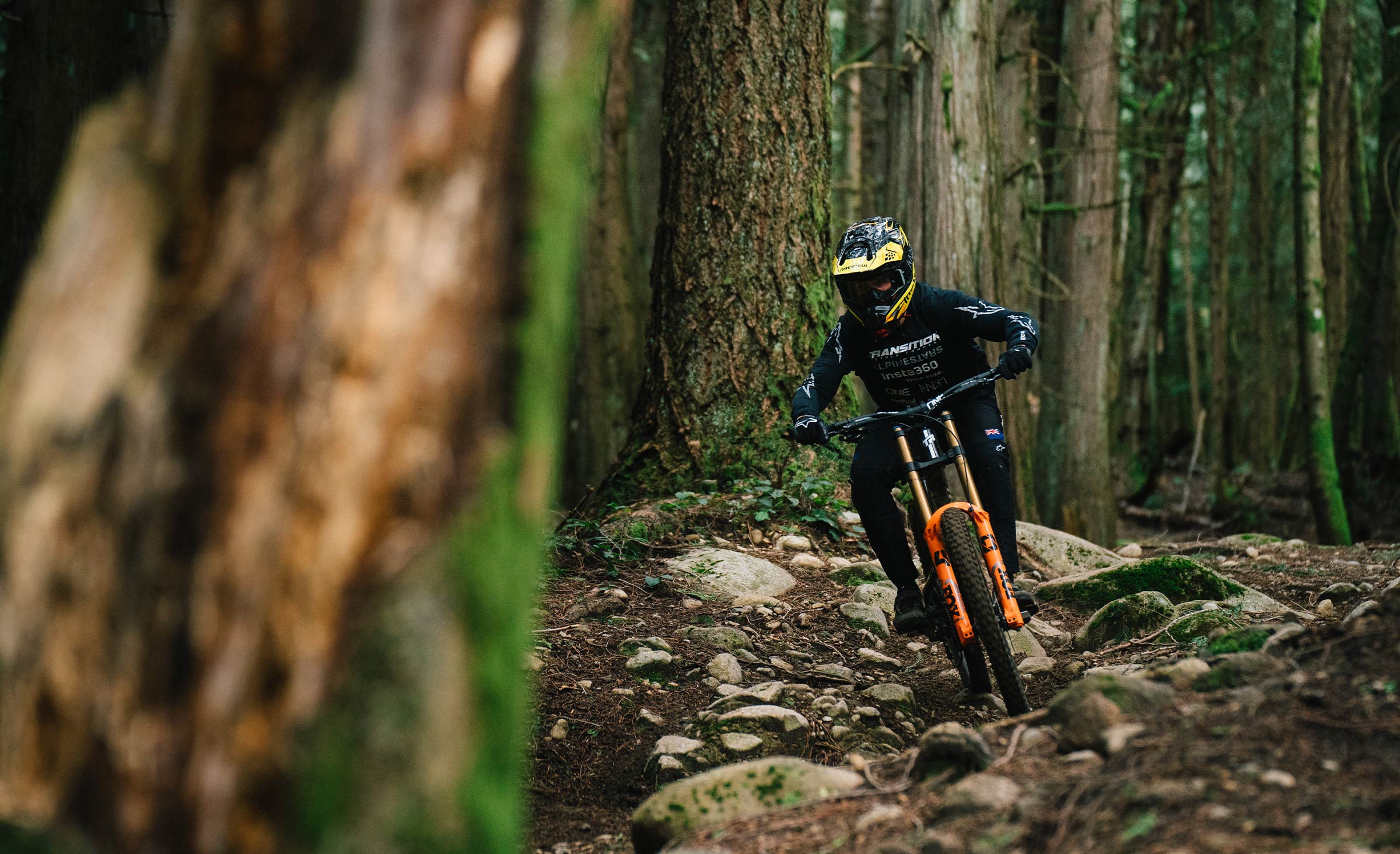 Frameset Transition TR11 White [2025]