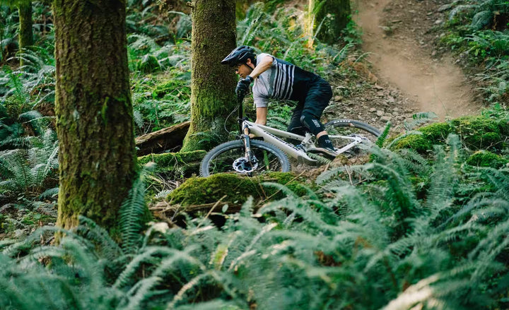 Bicicleta Transition Sentinel Alloy Eagle 90