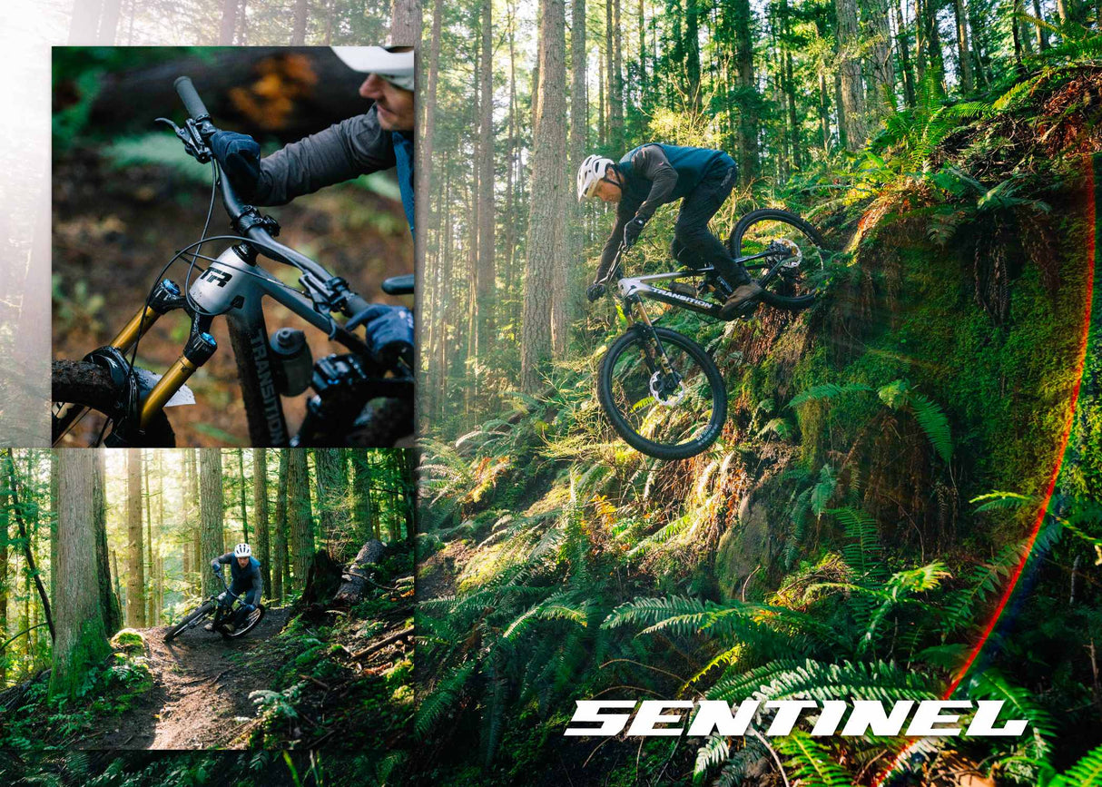 Transition Sentinel Carbon 2026 en terreno