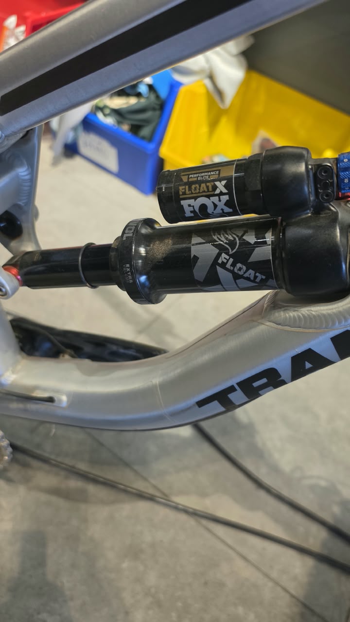 Transition TR11 (TALLA S)