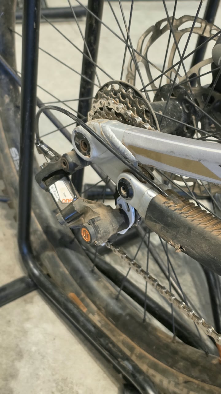Transition TR11 (TALLA S)