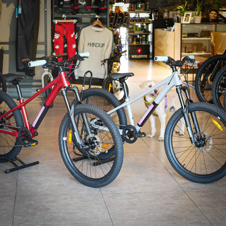 Bicicleta MTB Dominate Kids Aro 24" Red