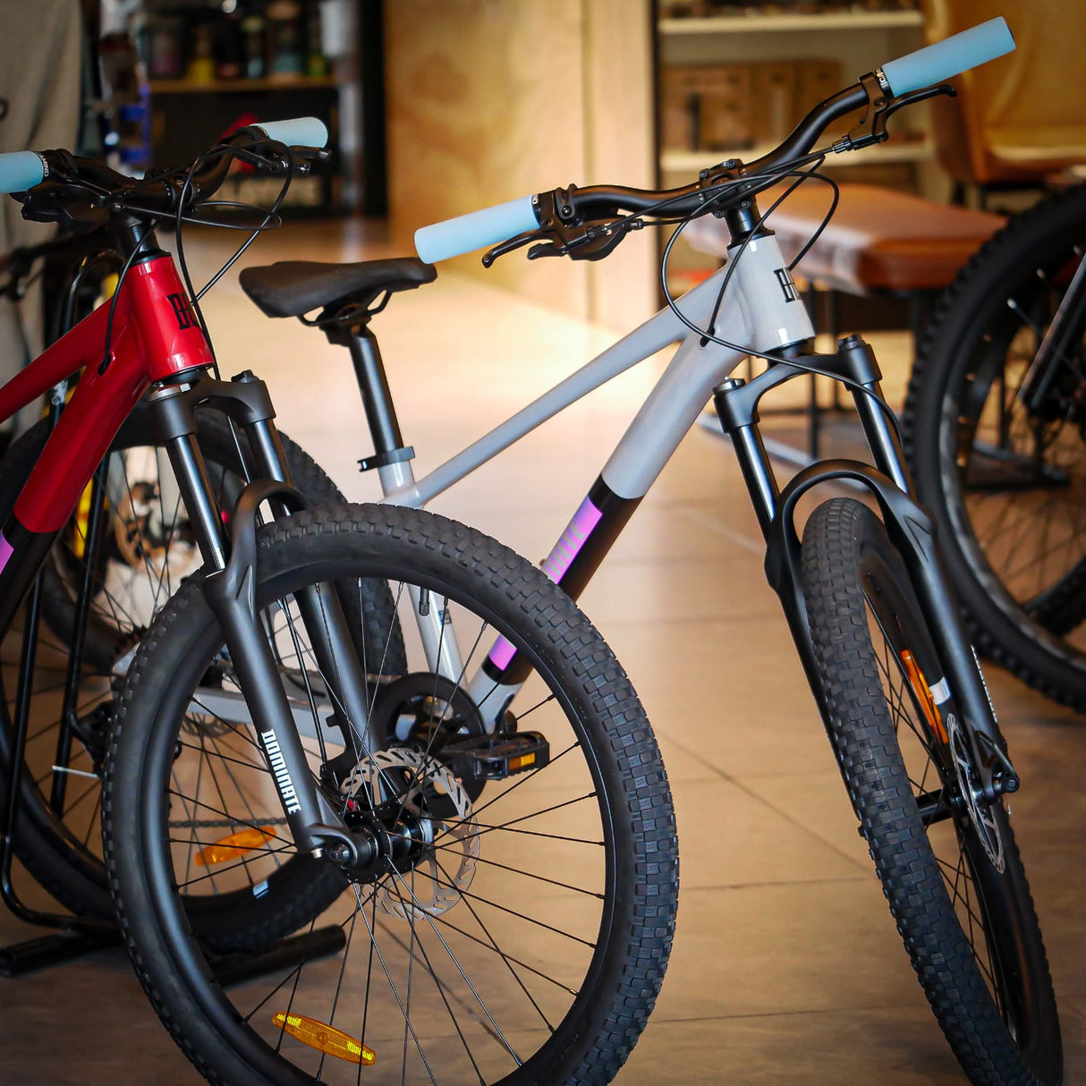 Bicicleta MTB Dominate Kids Aro 24" Grey