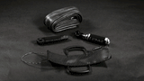 Occam Apex Coyote